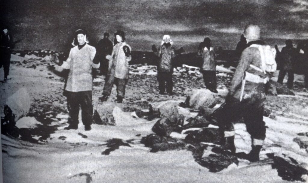 جرين لاند والحرب العالمية القادمة