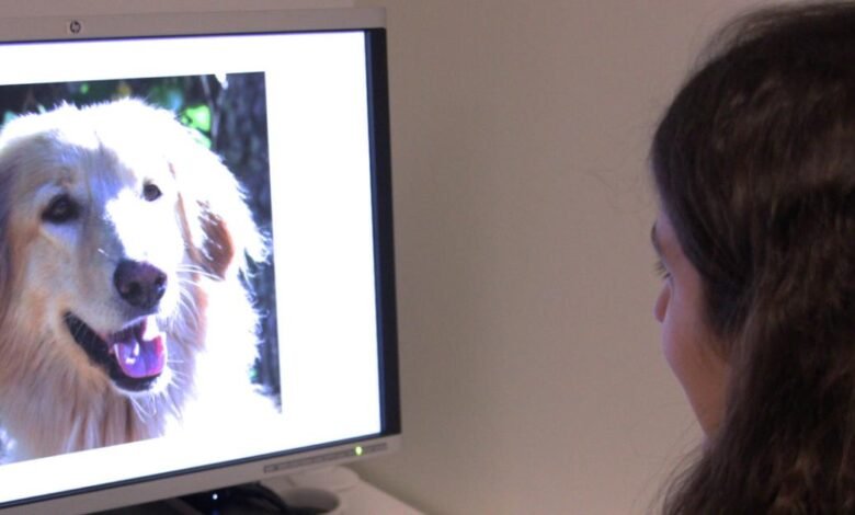 التعاطف تجاه الحيوانات الأليفة