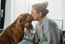 التعاطف الانتقائي