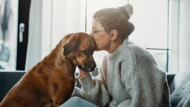 التعاطف الانتقائي