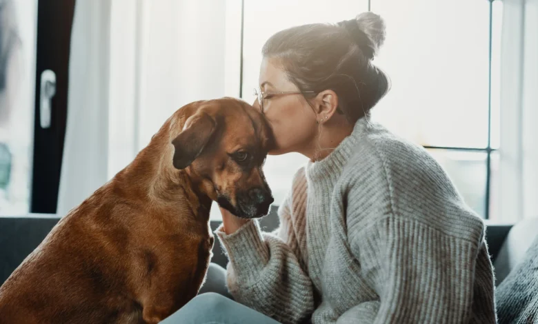 التعاطف الانتقائي