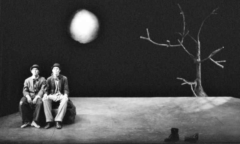 مسرحية في انتظار غودو